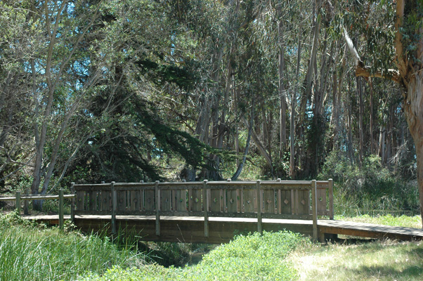 Morro Bay 019.JPG